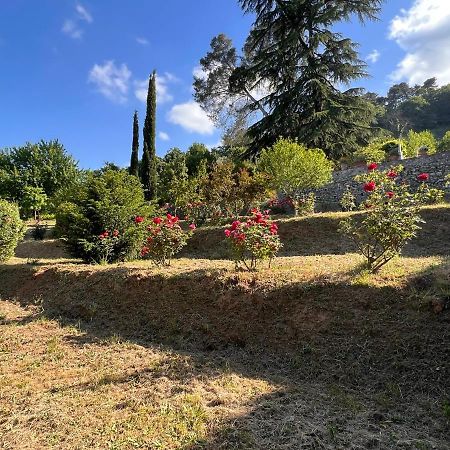 Borgo Al Canto Degli Alberi Lucca Eksteriør billede