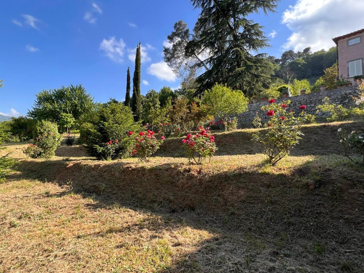 Borgo Al Canto Degli Alberi Lucca Eksteriør billede