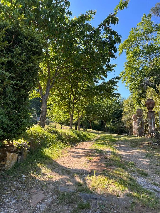 Borgo Al Canto Degli Alberi Lucca Eksteriør billede